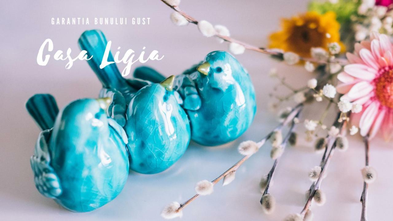 테기르기올 Casa Ligia 아파트 외부 사진